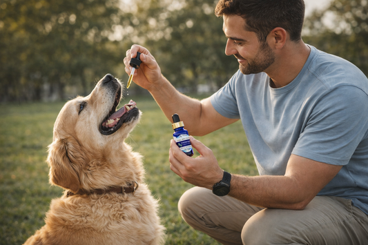Is CBD Good for Dogs? The Science Behind Canine CBD