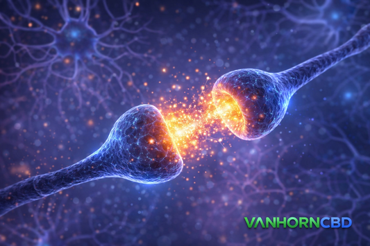 CBD Bioavailability Explained.