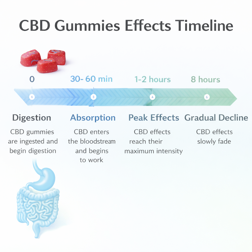 How Long Do CBD Gummies Take to Work? (Complete 2026 Guide)