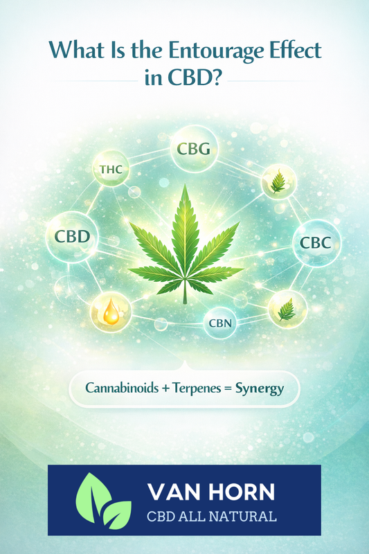 What Is the Entourage Effect in CBD?