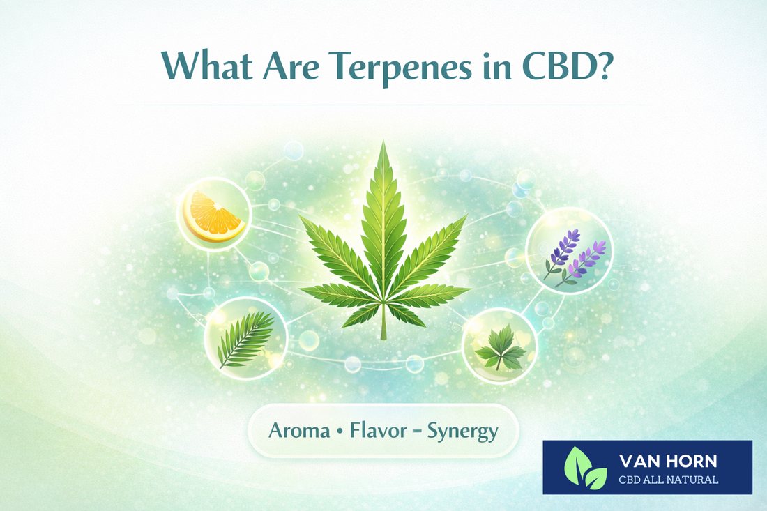 What Are Terpenes in CBD and Why Do They Matter?