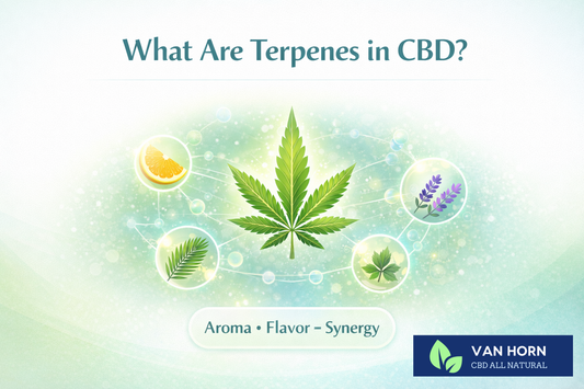 What Are Terpenes in CBD and Why Do They Matter?